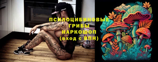 прущий лед Алагир