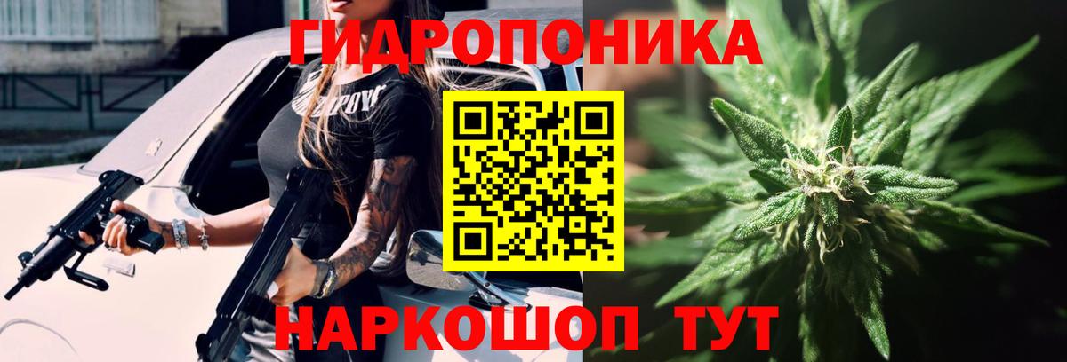 Бошки марихуана планчик  Вход с VPN  Каннабис план  Георгиевск  Шишки марихуана White Widow  Бошки марихуана гибрид 